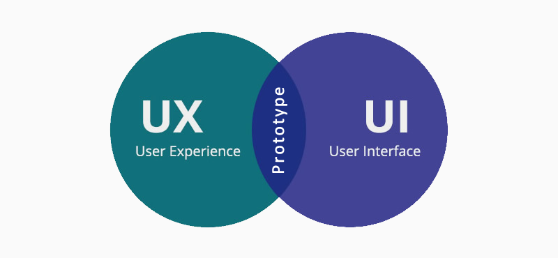 UI & UX